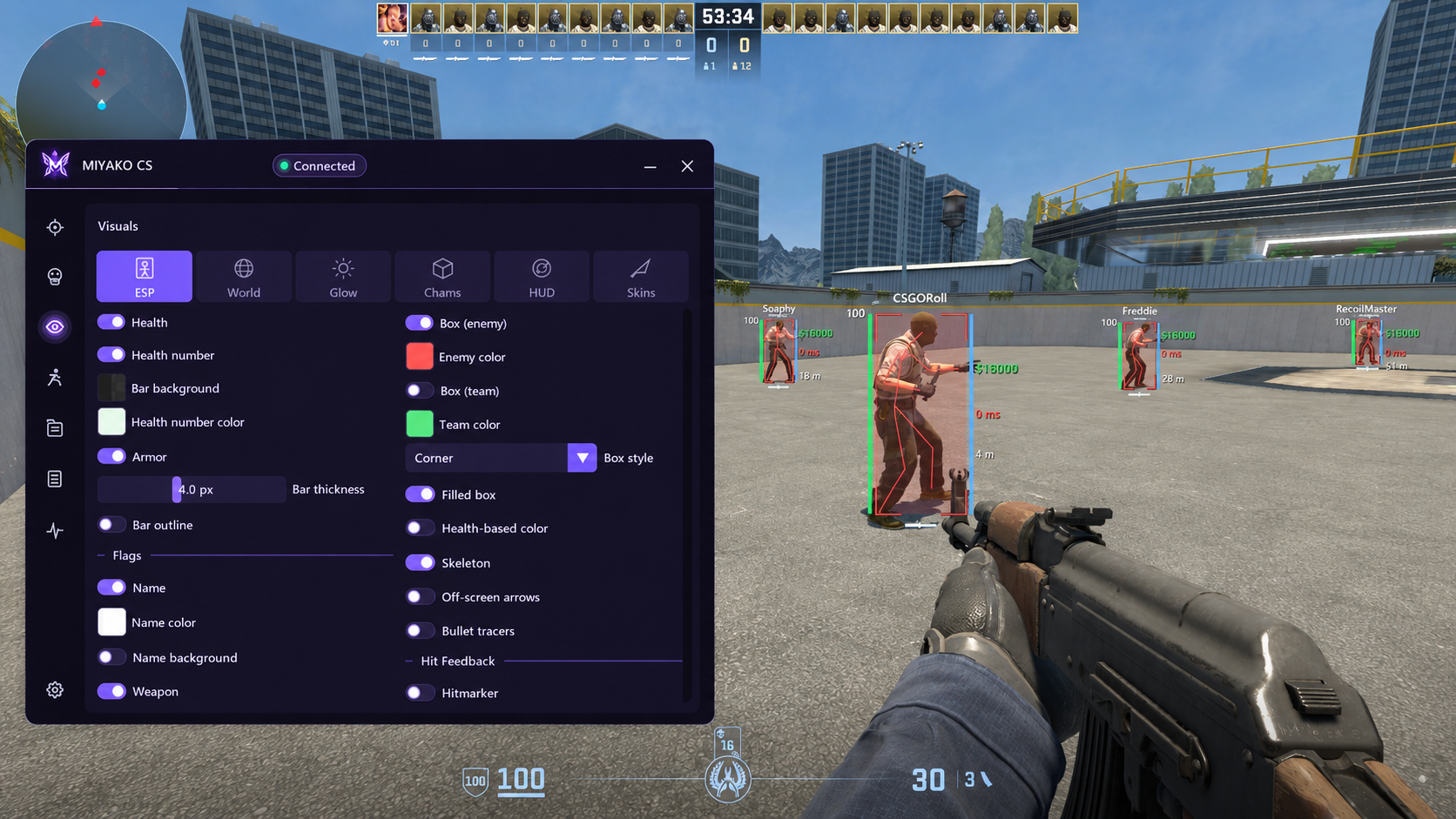 ESP visual settings and player overlays in Counter-Strike 2